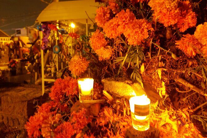 Mixquic Day of the Dead Tour in Mexico City - Price and Logistics: Is $89.20 Good Value for This Night?