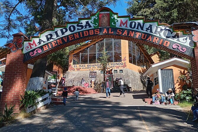 Monarch Butterflies El Rosario Preserve from Mexico City - When to go and what to expect with the weather factor
