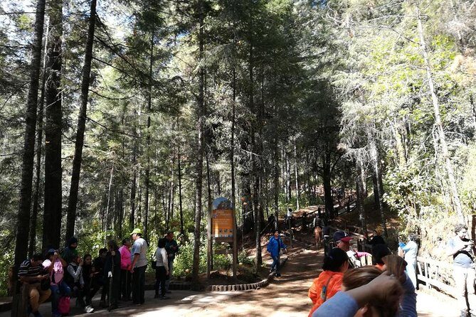 Monarch Butterfly Sanctuary Day Trip from Mexico City - Valle de Bravo lake time: views, boats, and eating on your own