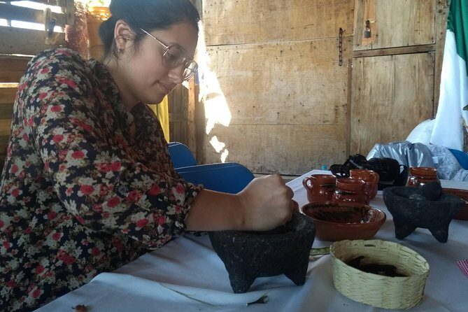 Monarch Butterfly Tour from Mexico City - Timing, Lunch, and How to Avoid the I’m-Starving Problem