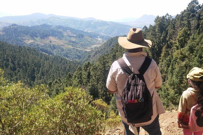 Monarch Butterfly Tour from Mexico City - The Walk to the Colony: Forest Sounds, Real Altitude, and Quiet Anticipation