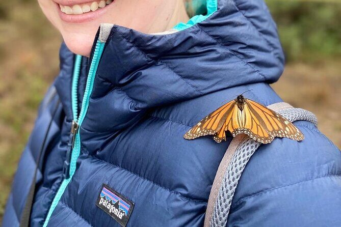 Monarch Butterfly Tour Mexico: Sierra Chuincua and Magic Town - Key points worth knowing before you go