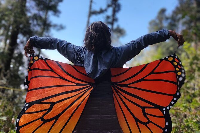 Monarch Butterfly Tour Mexico: Sierra Chuincua and Magic Town - Why Sierra Chincua Monarch Season Is the Whole Point