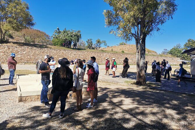 Monte Alban - Full Day Guided Tour with or without Food - Oaxaca - Starting in Oaxaca City: The 8:00 a.m. Advantage