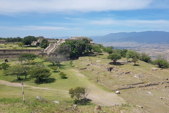 Monte Albán Half Day Tour - Air-Conditioned Ride and a Small Group: Comfort That Keeps You Paying Attention