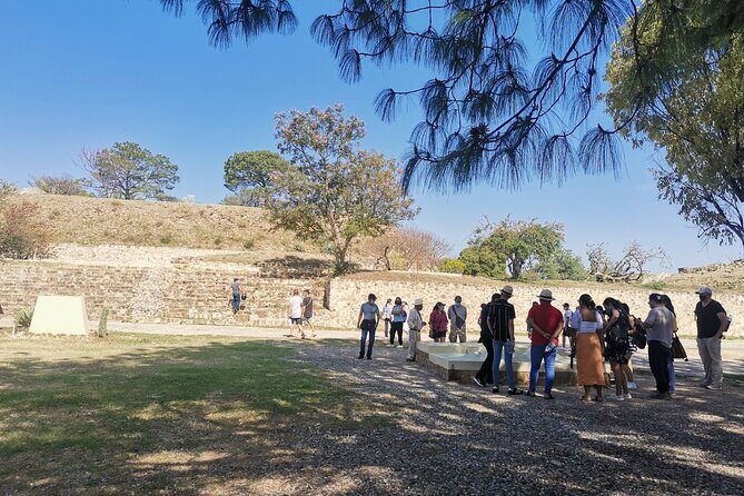 Monte Alban Only - Half Day Guided Tour - Oaxaca - The Main Event: Touring Monte Albán With a SECTUR-Certified Guide