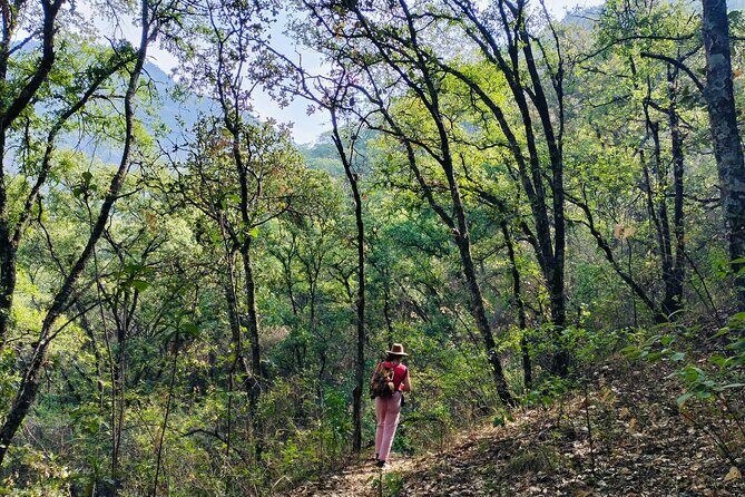 Mountain Hike & Rituals - Why This Oaxaca City Hike Feels Like a Reset