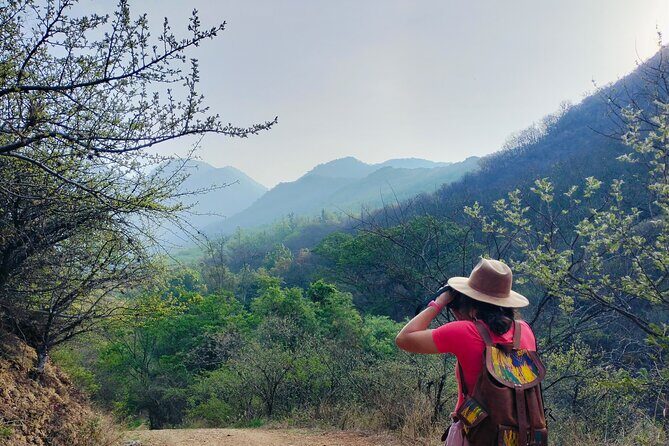 Mountain Hike & Rituals - Price and Value: What $119.56 Buys You in Oaxaca