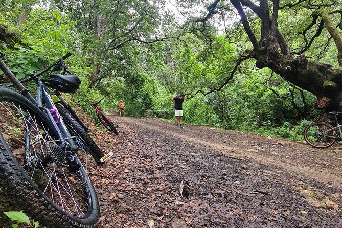 MTB Bike Tour: Monkey Tree + Tule Tree - Key things to know before you pedal