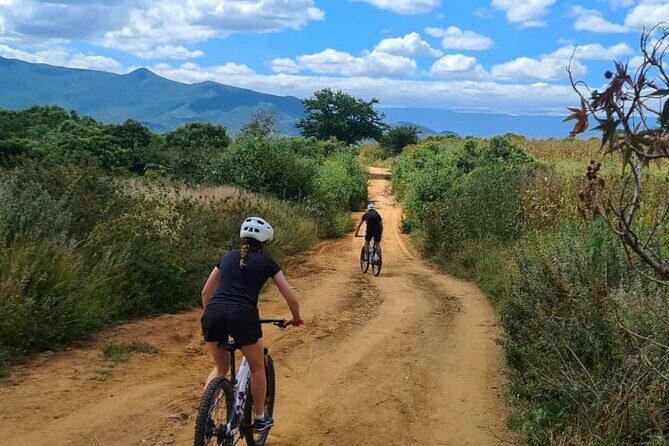 MTB Bike Tour: Monkey Tree + Tule Tree - City start, mountain finish: how the route really works