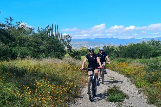 MTB Bike Tour: Monkey Tree + Tule Tree - Stop 2: the Monkey Tree ride and why the trail feels different