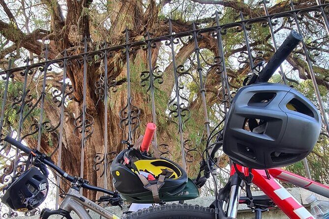 MTB Bike Tour: Monkey Tree + Tule Tree - Guide and group size: Humberto’s calm pace makes it work