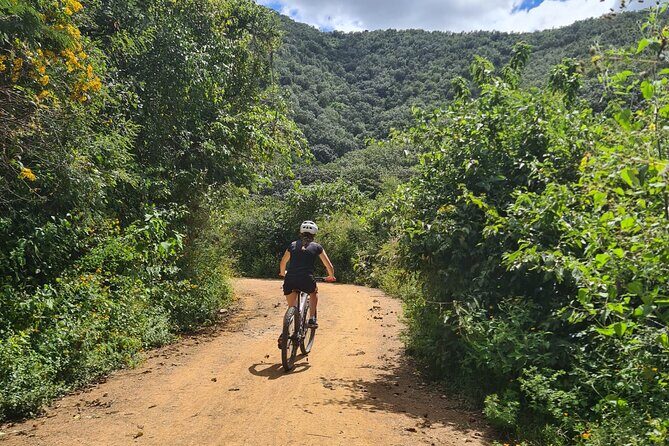 MTB Bike Tour: Monkey Tree + Tule Tree - Price value: $82.66 for a real half-day outside town