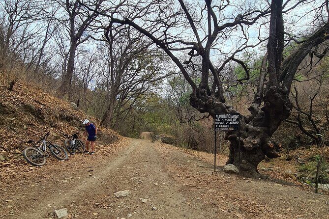MTB Bike Tour: Monkey Tree + Tule Tree - Logistics that actually matter: timing, start point, and what to bring