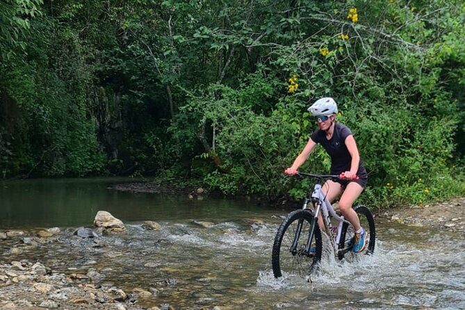 MTB Bike Tour: Monkey Tree + Tule Tree - The riding level: intermediate cross-country that’s 80% mountain