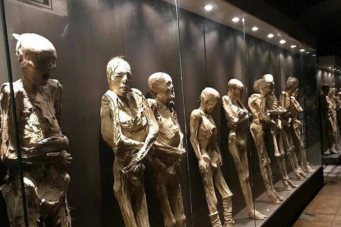 Museums and Mines of Guanajuato Private Tour - Key Highlights I’d Put on Your Shortlist