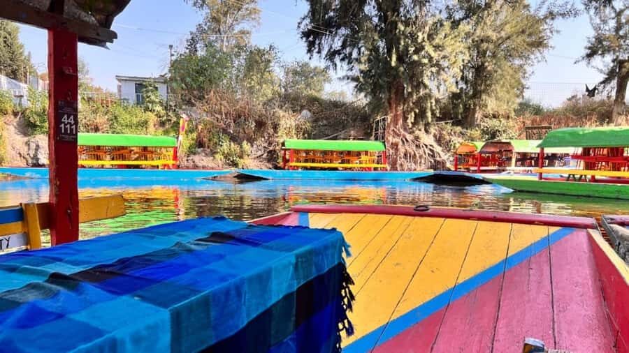 Music and Tequila in Xochimilco visits Coyoacán and CU - Xochimilco on a traditional trajinera: canals, chinampas, and the tequila moment