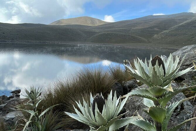 Nevado de Toluca Tour from Mexico City - Why Nevado de Toluca Is Worth a Day Trip From Mexico City