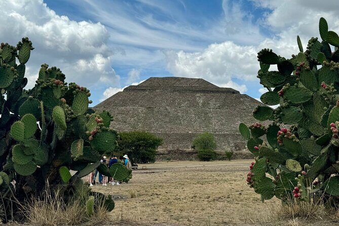 North tour in Mexico City - Restaurant stops without included meals: plan your food like a pro