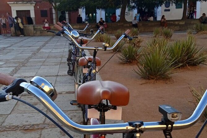 Oaxaca City Bicycle Tour Explore Iconic Barrios - Who This Tour Fits Best