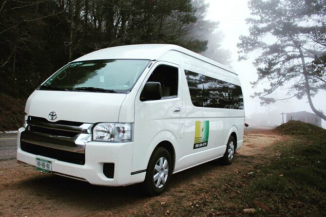 Oaxaca City Private vehicle with Guide - Key highlights that make this Oaxaca City tour worth it