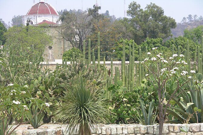 Oaxaca City tour - Santo Domingo museum & the colorful market - The Guide Matters: Jose, Diego, and Marta’s Oaxaca Style