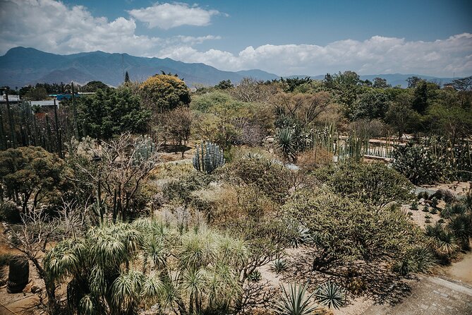 Oaxaca City Walking Tour - Markets, Textile museum & Lunch - Mercado 20 de Noviembre and Mercado Benito Juárez: learn the layout, then browse