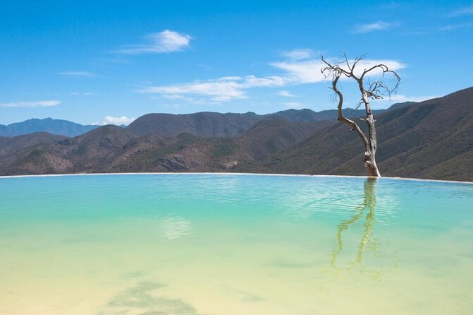 Oaxaca Conmigo Private Tours - Key highlights worth your attention