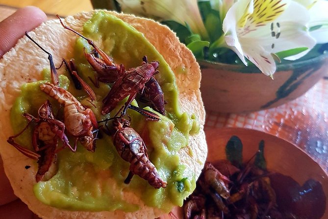 Oaxaca Conmigo Private Tours - Artisan stops that feel like you’re meeting the makers