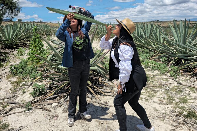 Oaxaca Mezcal & Pulque Tour by Barrel Bus - Stop 5: Tlacolula distillery stop, cocktail, and the lunch reality