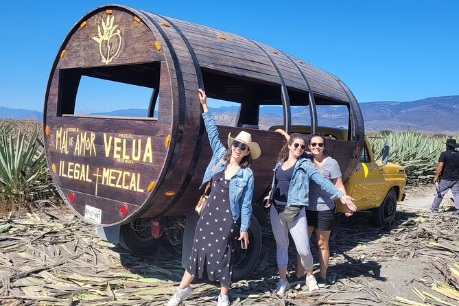 Oaxaca Mezcal & Pulque Tour by Barrel Bus - Stop 2: Palenque Mal De Amor and the agave fields photo stop