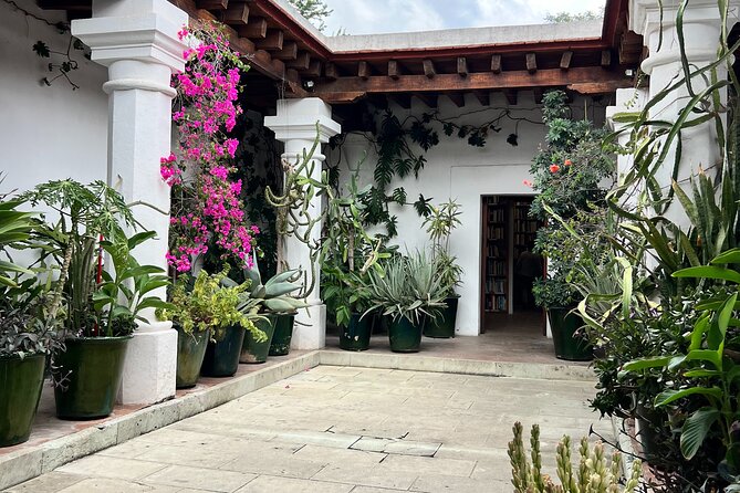 Oaxaca Walking Tour - 5:00 pm meet-up: pace, group size, and what to wear