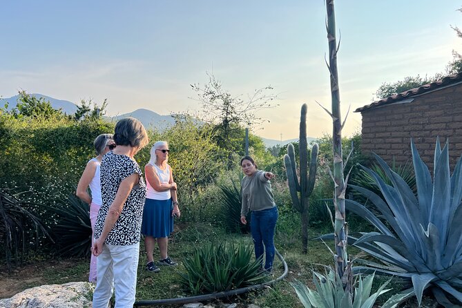Oaxaca Women Private Tour - Stop 4: Santa Catarina Minas Mezcal Tasting and Sunset