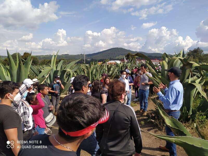 One day tour from Mexico City to Firefly Sanctuary - Huamantla + fireflies, with real human help