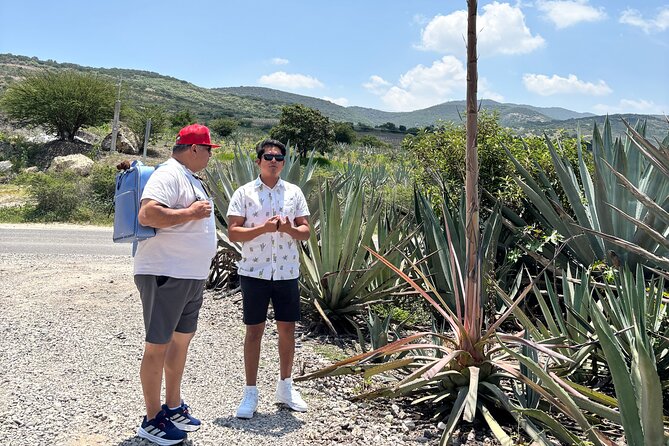 One day trip : Mezcal, Tlayudas & Textil - Matatlán, wild agaves, and mezcal tasting that focuses on variety
