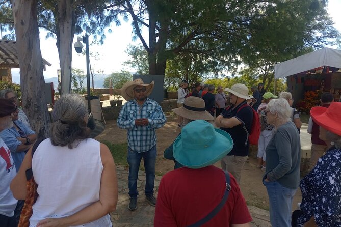 Only Monte Albán Tour - A Realistic Walk Through Your Morning