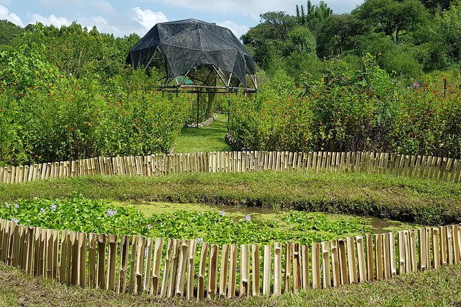 Openwork butterfly garden - Quick hits on this open-air butterfly garden visit