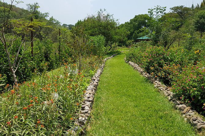 Openwork butterfly garden - What’s included (and what you’ll want to budget for)