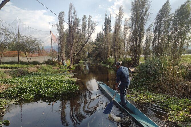Pre-Hispanic Xochimilco, local food included and ajolotario. - A Calm, Pre-Hispanic Day Trip From Mexico City
