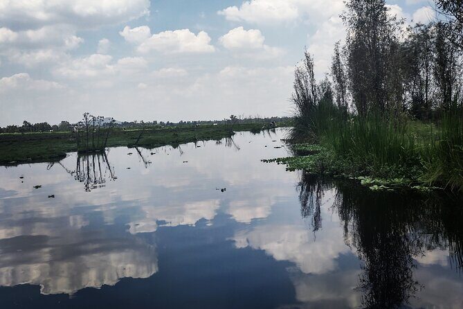 Pre-Hispanic Xochimilco, local food included and ajolotario. - Xochimilco Town and the San Bernardino de Siena Church