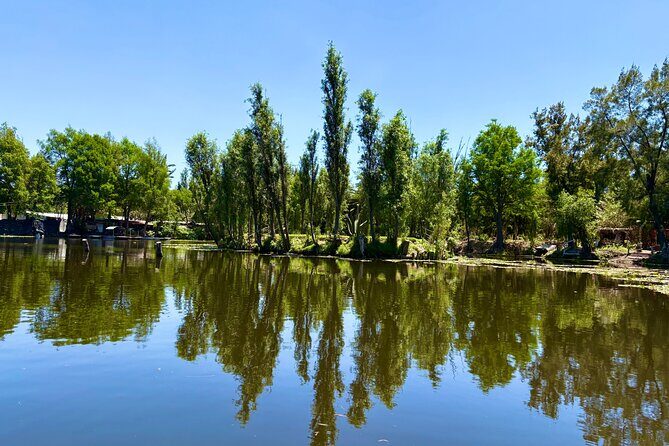 Prehispanic Xochimilco: Market, chinampas, axolotls kids friendly - What makes this tour feel different (and better) than the usual Xochimilco circuit