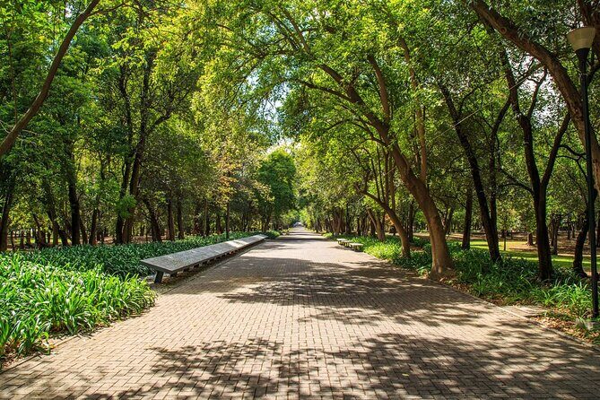 Private Chapultepec Park by Bike Guided Tour - Los Pinos (Complejo Cultural de Los Pinos): presidential history now open
