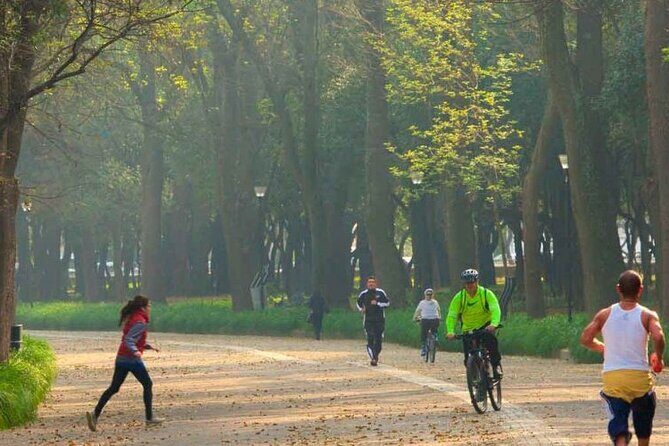 Private Chapultepec Park by Bike Guided Tour - Fountain of Temperance and the Calzada de los Poetas