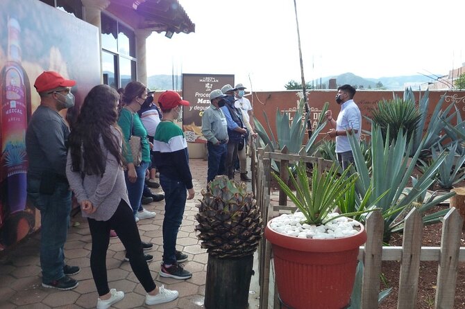 Private Family Tour visitng Mitla, Mezcal Factory, HIerve el Agua - Mitla’s Place of the Dead: What to See and the Wait You Might Face