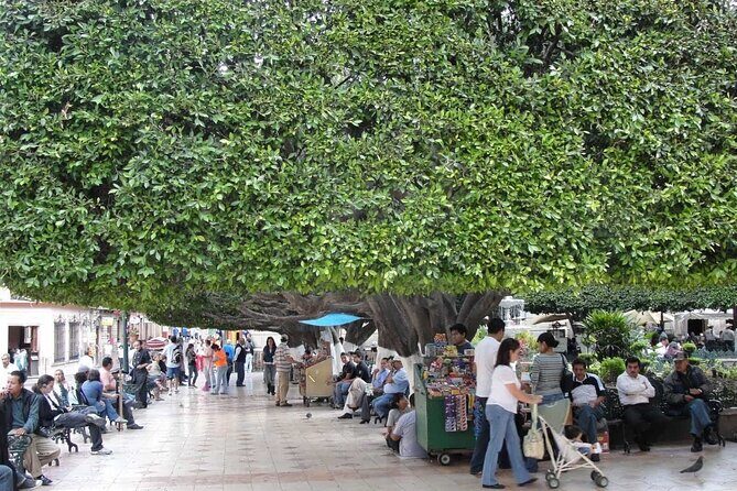 Private History & City Walking Tour of Guanajuato - The Guide Factor: Alex’s Storytelling Style