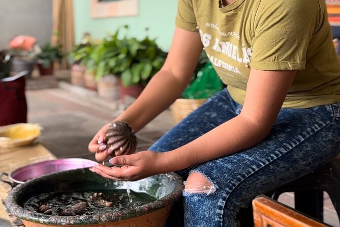 Private Monte Alban VIP : Mezcal and Zapoteco Art - A true VIP feel in Oaxaca City, without the fuss