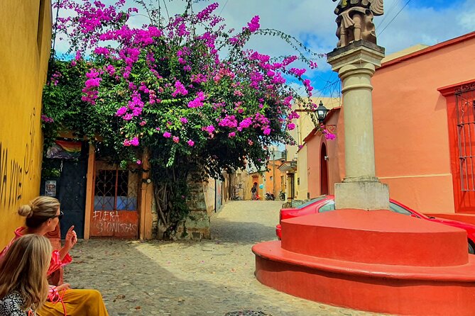 Private Oaxaca City Tour on a budget - Best Rated - Key Highlights You’ll Feel Right Away