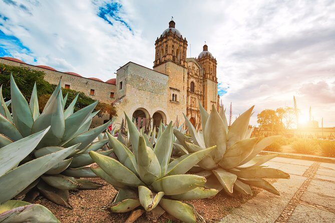 Private Oaxaca Walking Tour with Mezcal Tasting - MACO: Oaxaca’s contemporary side in a 30-minute hit