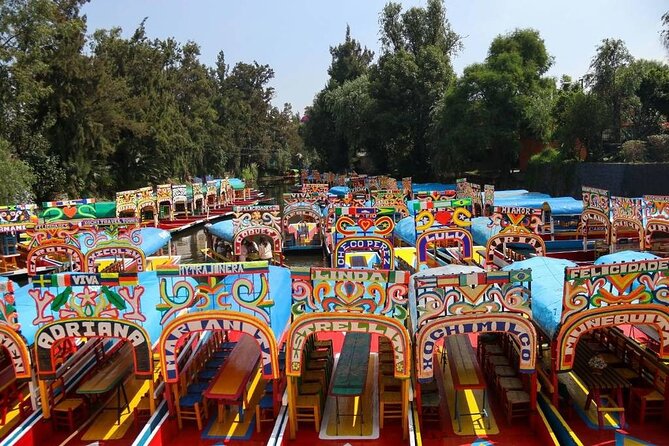 Private/Shared Tour Xochimilco Coyoacán optional Frida Kahlo - Key highlights you’ll actually care about