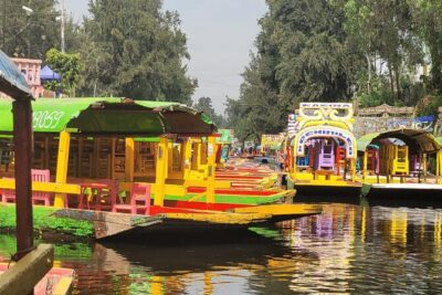 Private/Shared Tour Xochimilco Coyoacán optional Frida Kahlo - Coyoacán on foot: cobblestones, culture, and market wandering